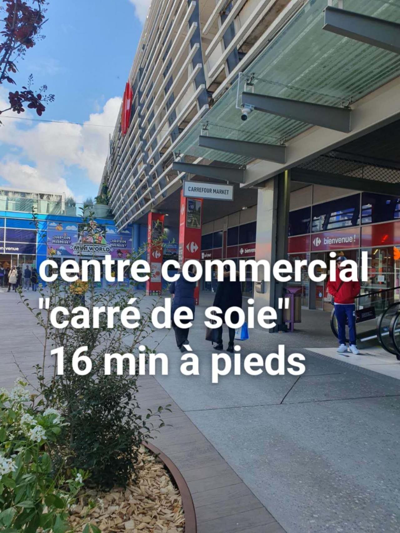 Medipole T2 Avec Un Garage Gratuit Sur Place, 16Min A Centre Ville Lyon En Metro A Villeurbanne Exterior photo